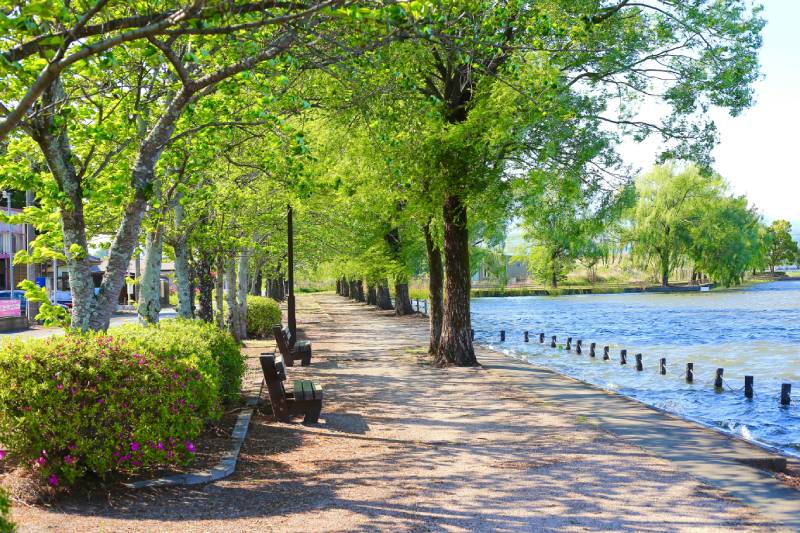 Conteggio dei visitatori senza elettricità o Internet. Soluzioni pratiche SensMax.